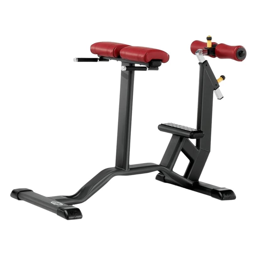 Rückenstrecker 90°